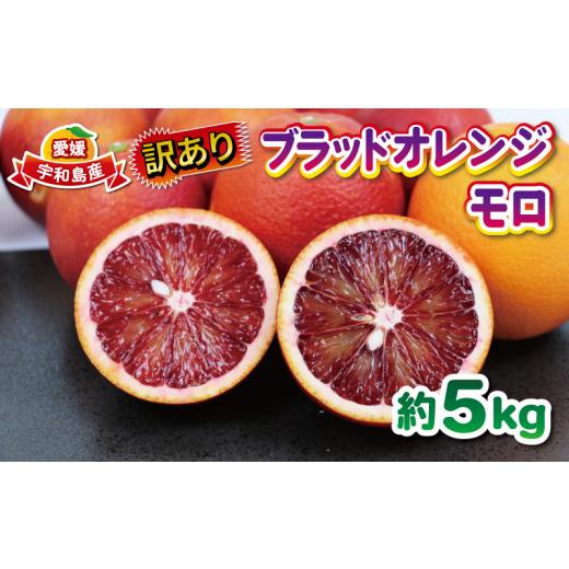 ふるさと納税 果物類 みかん 愛媛県 宇和島市 訳あり ブラッドオレンジ・モロ 5kg 大田農園 先行予約 オレンジ 果物 くだもの フルーツ 柑橘 みかん 訳アリ 訳…