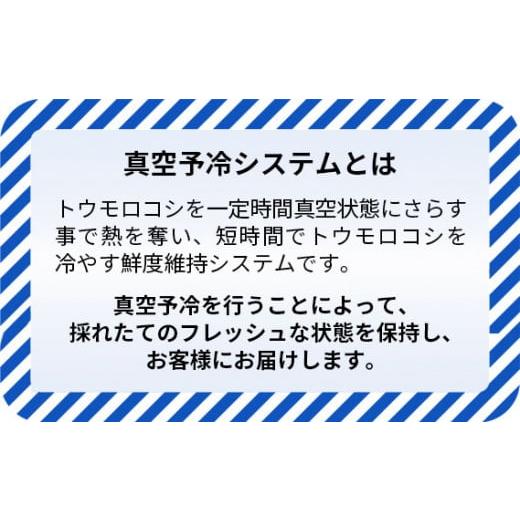 ふるさと納税 茨城県 坂東市 No.234 【8kg】坂東市朝採りとうもろこし「ゴールドラッシュ」冷蔵済 ／ トウモロコシ 朝どり 新鮮 茨城県 特産品｜furusatochoice｜03