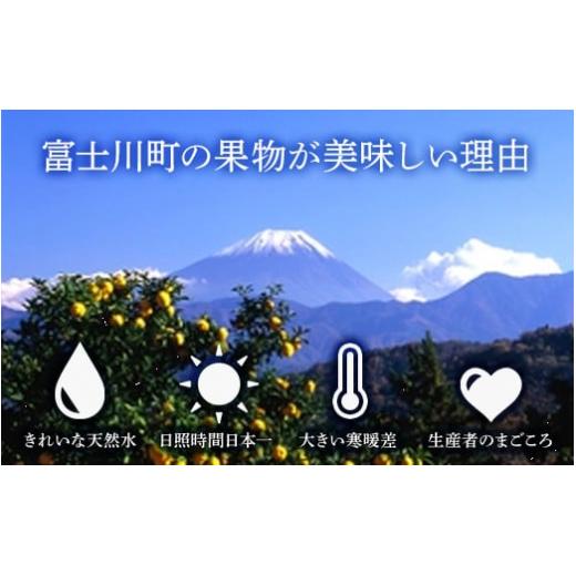 販売正本 ふるさと納税 山梨県 富士川町 【先行予約】2024年発送　シャインマスカット1.6-1.8kg ぶどう シャイン マスカット 有機肥料 山梨県産 フルーツ 産地直送 大粒…