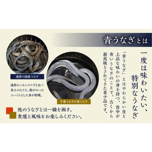 ふるさと納税 愛知県 田原市 《5月末金額改定予定》【すぐにお届け／冷蔵】厳選 高級 青うなぎ 2尾 蒲焼 300g 冷蔵／2週間程度でお届け｜furusatochoice｜05