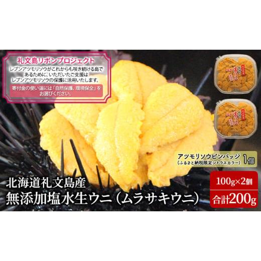 ふるさと納税 ウニ 北海道 礼文町 先行予約 礼文島リボンプロジェクト 北北海道 礼文島産 塩水ウニ ( キタムラサキウニ )100g×2 生うに うに 雲丹 魚貝類 …