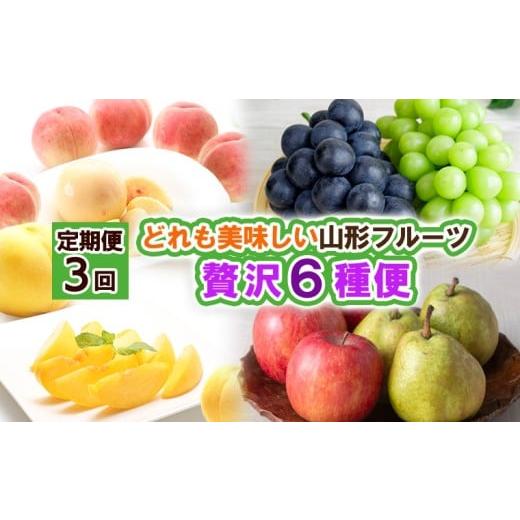 ふるさと納税 もも 山形県 山形市 定期便3回 どれも美味しい山形フルーツ贅沢6種便 令和8年産先行予約 FS24-517 くだもの 果物 フルーツ 山形 山形県 山形市…