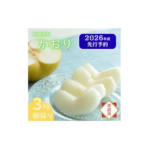 ふるさと納税 梨 千葉県 船橋市 2026年産先行予約 家庭用 果汁たっぷりの極上梨「かおり・3kg」4〜5玉 千葉県 船橋市産