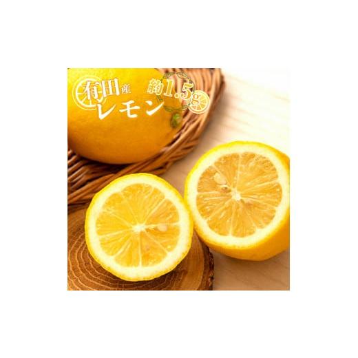 ふるさと納税 和歌山県 湯浅町 CE6115n_和歌山県 有田産 レモン 約1.5kg