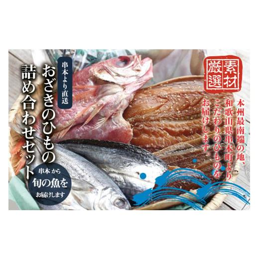 ふるさと納税 干物 サバ 和歌山県 串本町 おざきのひもの 詰め合わせセット 旬の魚をお届け (Aセット) 冷凍 ozk100-1 冷凍