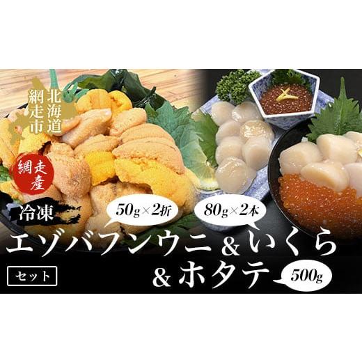 ふるさと納税 ウニ 北海道 網走市  先行予約 冷凍エゾバフンウニ50g×2折＋いくら80g×2本＋ホタテ500gセット（網走市産）（2026年5月中旬以降発送） ふるさと…の画像