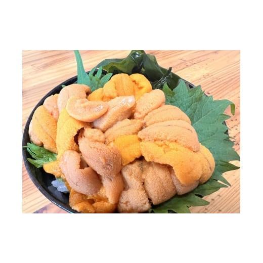 ふるさと納税 ウニ 北海道 網走市  先行予約 冷凍エゾバフンウニ50g×2折＋いくら80g×2本＋ホタテ500gセット（網走市産）（2026年5月中旬以降発送） ふるさと…の画像