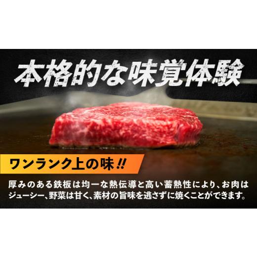 ふるさと納税 雑貨・日用品 滋賀県 栗東市 極厚鉄板 小 9mm厚＋ステンレス製フタ+リフターSET（TS-90＋FL）／ 鉄板 バーベキュー BBQ キャンプ アウトドア 極…の画像