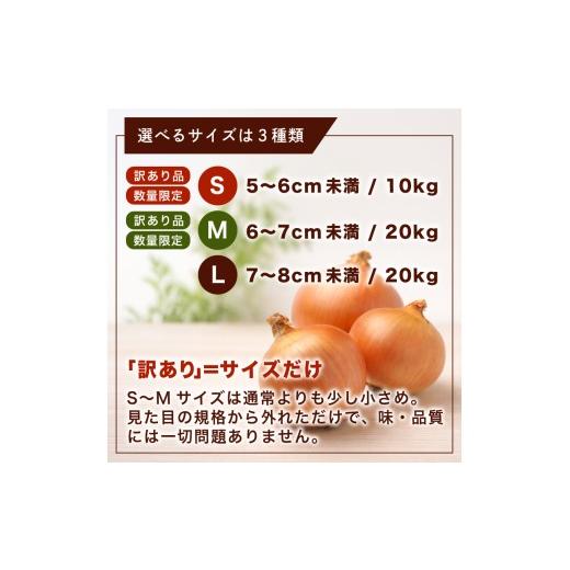 ふるさと納税 野菜類 玉ねぎ 北海道 美幌町  令和8年産 先行予約 玉ねぎ Lサイズ 20kg 2026年10月上旬より順次発送 人気 おすすめ ランキング たまねぎ 玉ネギ…の画像