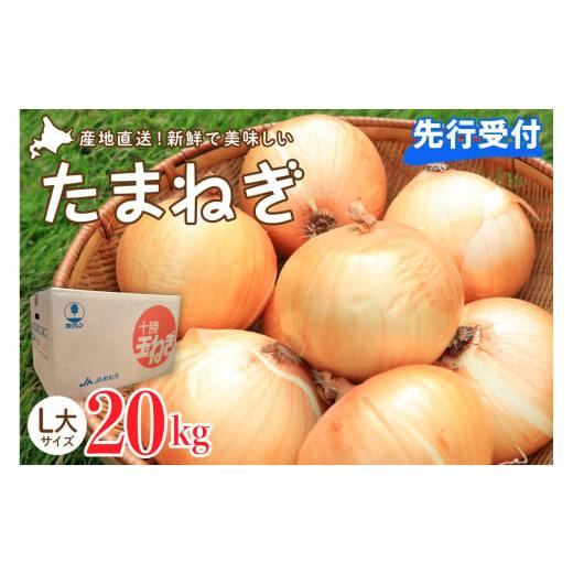 ふるさと納税 北海道 芽室町 [先行受付][10月上旬より発送]北海道十勝めむろ産 たまねぎ L大サイズ 20kg me010-011c-24