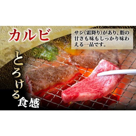 ふるさと納税 宮崎県 都城市 【黒毛和牛】霜降りカルビ&赤身カルビ1kg焼肉セット_AD-4202_(都城市) 国産 黒毛和牛 和牛 霜降り 赤身 カルビ 1kg｜furusatochoice｜04