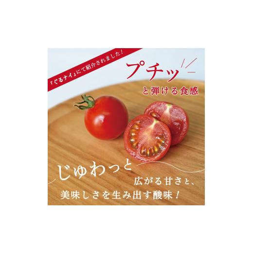 ふるさと納税 野菜類 トマト 山梨県 富士吉田市  2月発送 FUJITOMA　（フルーツトマト）　1kg 2027年2月発送_3