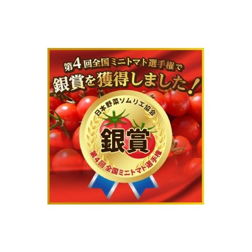 ふるさと納税 野菜類 トマト 山梨県 富士吉田市  2月発送 FUJITOMA　（フルーツトマト）　1kg 2027年2月発送_5