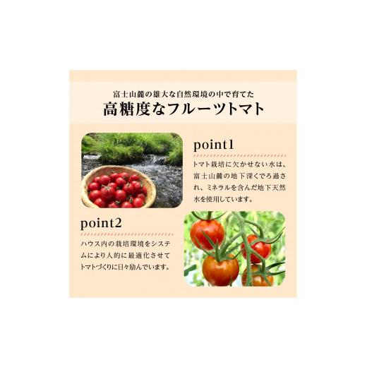 ふるさと納税 野菜類 トマト 山梨県 富士吉田市  2月発送 FUJITOMA　（フルーツトマト）　1kg 2027年2月発送_7