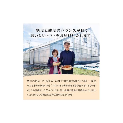 ふるさと納税 野菜類 トマト 山梨県 富士吉田市  2月発送 FUJITOMA　（フルーツトマト）　1kg 2027年2月発送_8