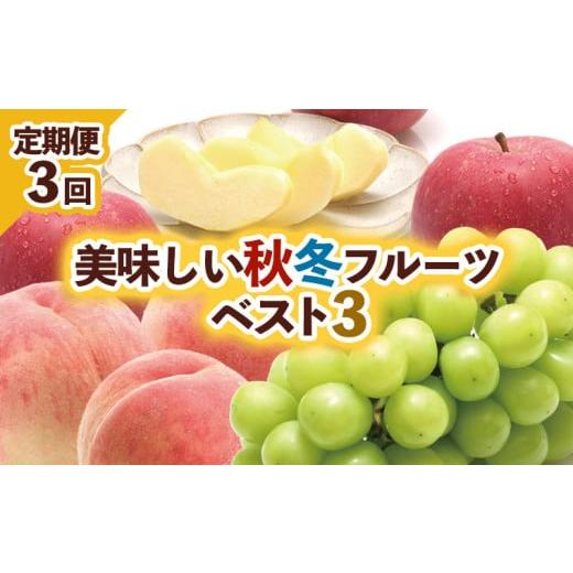 ふるさと納税 もも 山形県 山形市 定期便3回 美味しい秋冬フルーツベスト3 令和8年産先行予約 FU23-960 くだもの 果物 フルーツ 山形 山形県 山形市 2026年…