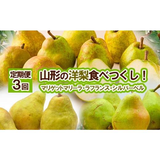 ふるさと納税 梨 山形県 山形市 定期便3回 山形の洋梨食べつくし (マリゲットマリーラ・ラフランス・シルバーベル) 令和8年産先行予約 FS25-688 くだもの 果…
