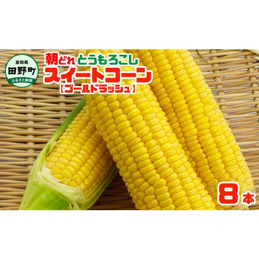 ふるさと納税 とうもろこし 高知県 田野町 四国一小さなまちのとうもろこし 2026年6月中旬頃より発送開始予定 とうもろこし スイートコーン ゴールドラッシュ…