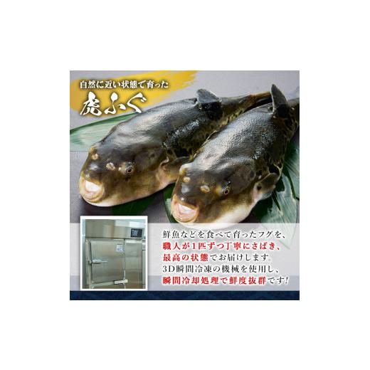 ふるさと納税 フグ 大分県 佐伯市 虎ふぐセット(4-5人前)ふぐ フグ トラフグ とらふぐ あら アラ 鍋用 刺身 皮 ひれ 薬味付き GP002 高瀬水産 4-5人前_2