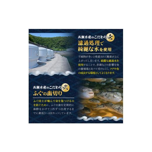 ふるさと納税 フグ 大分県 佐伯市 虎ふぐセット(4-5人前)ふぐ フグ トラフグ とらふぐ あら アラ 鍋用 刺身 皮 ひれ 薬味付き GP002 高瀬水産 4-5人前_4
