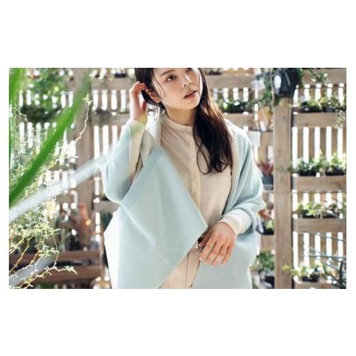 ふるさと納税 小物 ストール・マフラー 新潟県 五泉市 ストール CLEMATIS リバーシブル和紙ストール ( 折り返しポケット・ミント ) レディース | 大判 ストー…