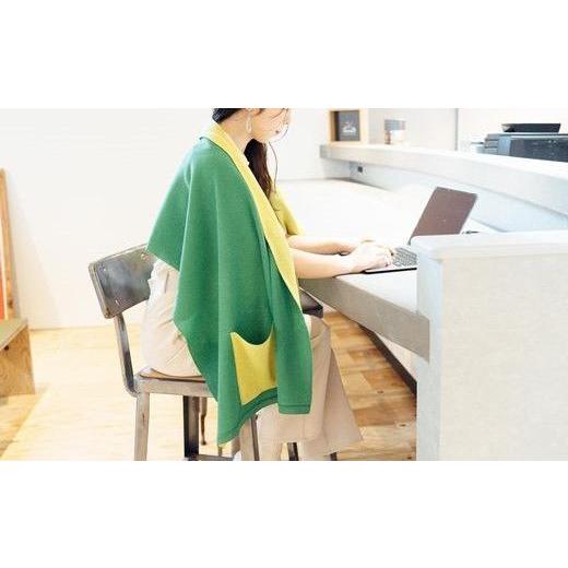 ふるさと納税 小物 ストール・マフラー 新潟県 五泉市 ストール CLEMATIS リバーシブル和紙ストール ( たたきポケット・グリーン ) レディース | 大判 ストー…