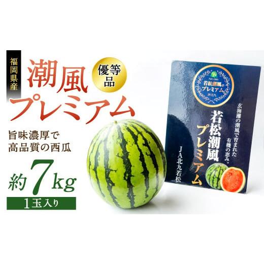 ふるさと納税 福岡県 北九州市 [2024年7月中旬より順次発送]福岡県 北九州市若松産 [優等品] 潮風プレミアム 西瓜 約7kg (1玉入り)