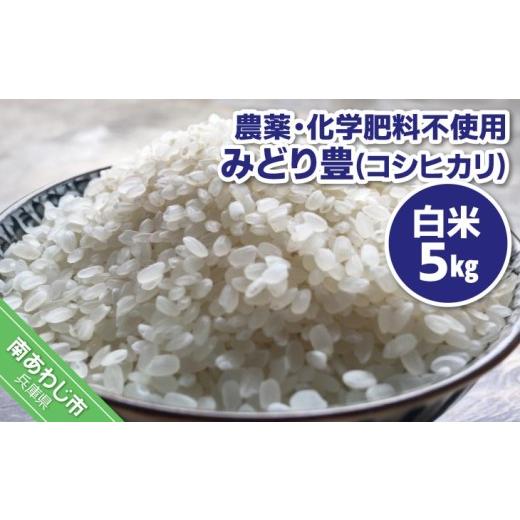ふるさと納税 米 兵庫県 南あわじ市 農薬・化学肥料不使用 白米5kg みどり豊(コシヒカリ)