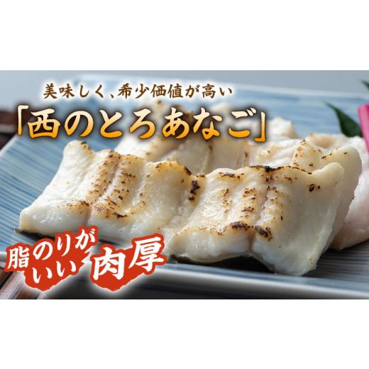 ふるさと納税 魚貝類 穴子 長崎県 対馬市 全6回定期便 対馬産 穴子 詰め合わせ 10PAC《 対馬市 》 対馬水産株式会社 対馬 新鮮 とろ あなご ふわふわ 煮穴子 …_3