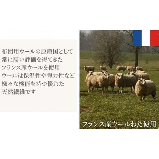 ふるさと納税 タオル・寝具 和歌山県 和歌山市  シングル ウォッシャブル ウールわたベッドパッド（100×200cm）WB-10の画像