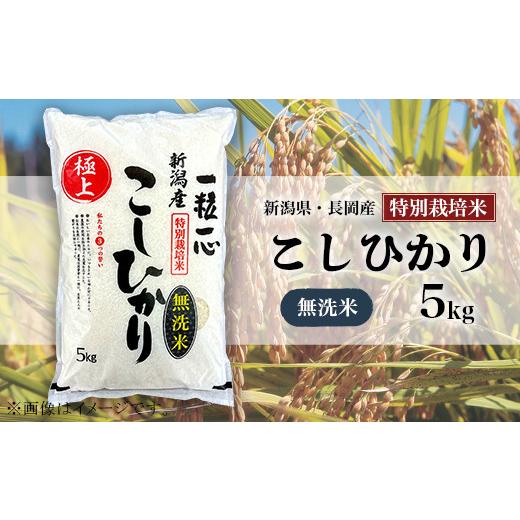 ふるさと納税 米 コシヒカリ 新潟県 長岡市 48-7M051 無洗米 新潟県長岡産特別栽培米コシヒカリ5kg