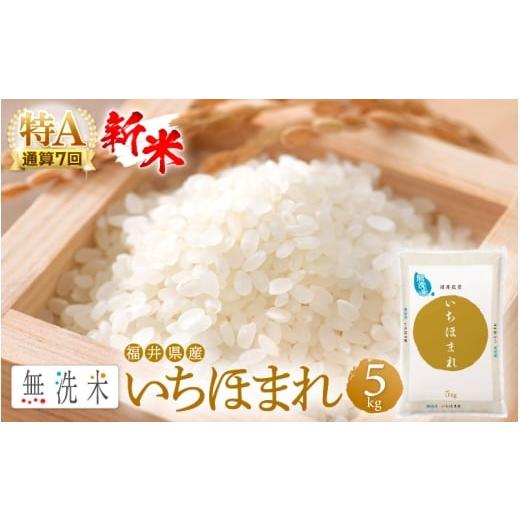 ふるさと納税 無洗米 福井県 越前町 特A通算7回 新米 令和7年産 無洗米 いちほまれ 5kg 福井県産 お米 コメ kome 5キロ 精米 白米 便利 時短 e27-a039