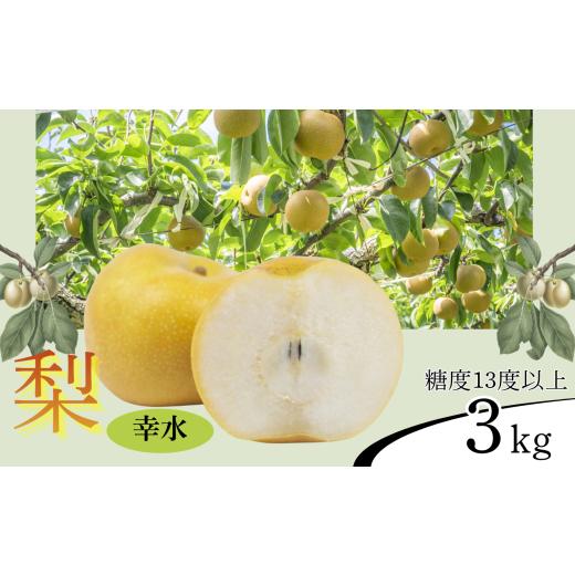 ふるさと納税 梨 長野県 飯田市 2026年先行予約 梨 幸水 糖度13度以上 約3kg | 果物 くだもの フルーツ 幸水梨 梨 なし ナシ 新鮮 長野県 信州 南信州 飯田市…