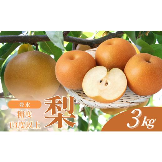 ふるさと納税 梨 長野県 飯田市 2026年先行予約 梨 豊水 糖度 14度 以上 約3kg | 果物 くだもの フルーツ 豊水梨 梨 なし ナシ 新鮮 長野県 信州 南信州 飯田…