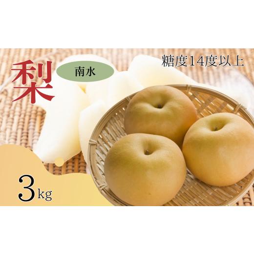 ふるさと納税 梨 長野県 飯田市 2026年先行予約 梨 南水 糖度14度以上 約3kg | 果物 くだもの フルーツ 南水梨 梨 なし ナシ 新鮮 長野県 信州 南信州 飯田市…