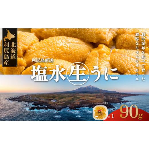 ふるさと納税 北海道 利尻町 利尻島産 塩水 生うに むらさきうに100g×1 2024年6月より順次出荷 先行受付 ウニ 利尻