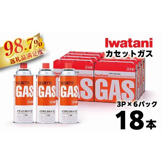 カセット セット ふるさと納税 アウトドアグッズ 滋賀県 近江八幡市 イワタニ カセット