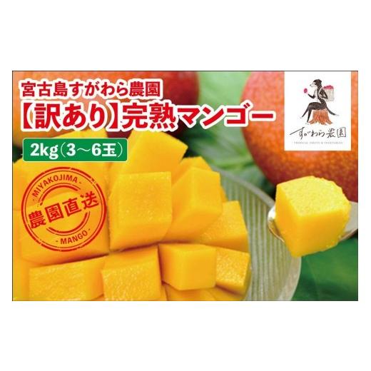 ふるさと納税 マンゴー 沖縄県 宮古島市 宮古島すがわら栽培所  訳あり 生まれ育つマンゴー２kg（3〜6玉）（FR004）
