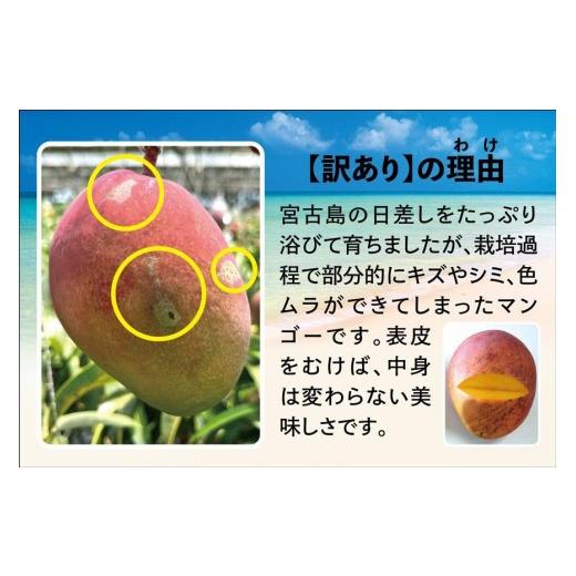 ふるさと納税 マンゴー 沖縄県 宮古島市 宮古島すがわら栽培所  訳あり 生まれ育つマンゴー２kg（3〜6玉）（FR004）