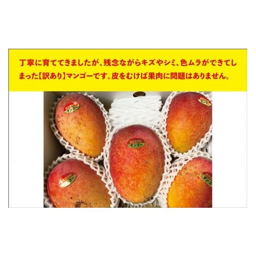 ふるさと納税 マンゴー 沖縄県 宮古島市 宮古島すがわら栽培所  訳あり 生まれ育つマンゴー２kg（3〜6玉）（FR004）