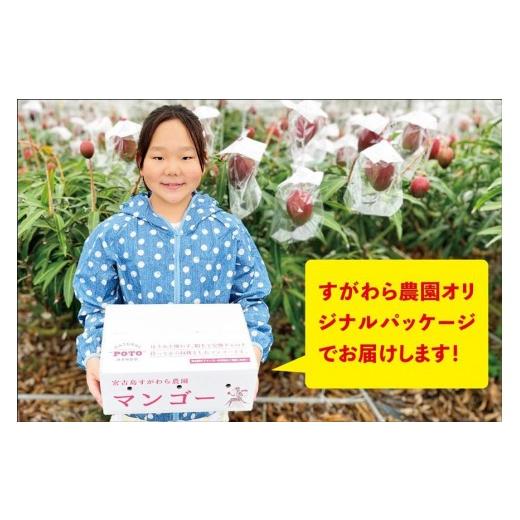 ふるさと納税 マンゴー 沖縄県 宮古島市 宮古島すがわら栽培所  訳あり 生まれ育つマンゴー２kg（3〜6玉）（FR004）