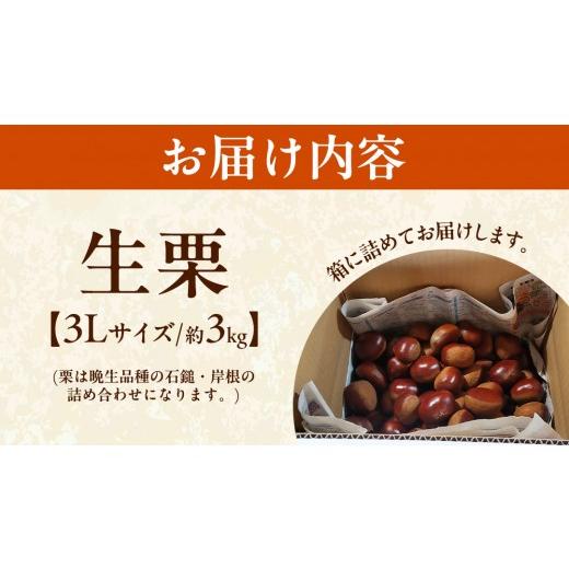 ふるさと納税 果物類 栗 茨城県 桜川市 無燻蒸 生栗 3L サイズ 約 3kg