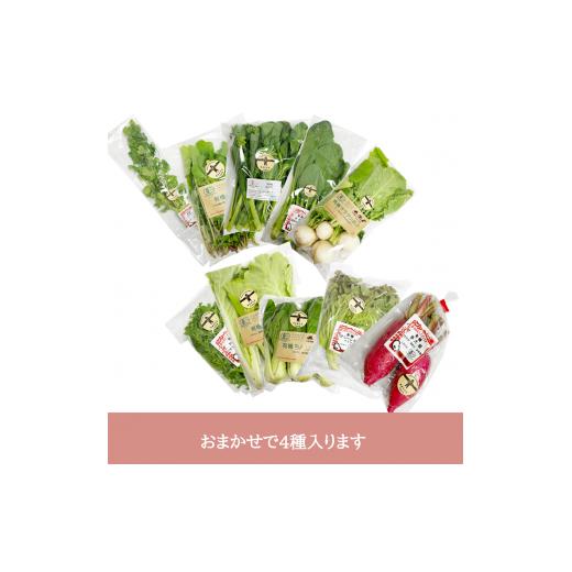 ふるさと納税 セット・詰合せ 山梨県 北杜市 明野とまとと有機野菜おまかせ４種セット０４ トマト 約1kg 有機野菜 おまかせ 4種 セット 新鮮 野菜 明野とまと …の画像