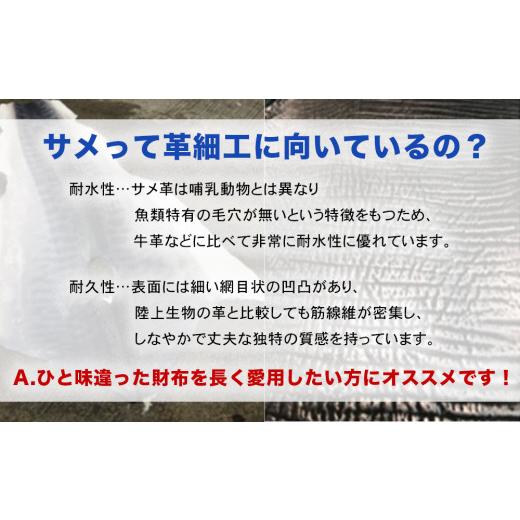 ふるさと納税 財布 沖縄県 うるま市  ふるさと納税 サメ革コインケースCowMix　Black　財布　財布　革製品　工芸品　サメ　鮫　RYUKYU SHARK　革　ファッショ…の画像