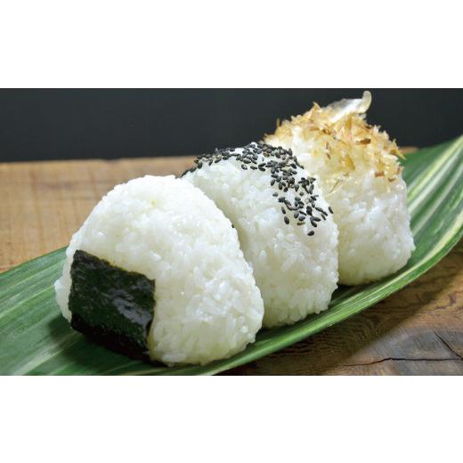 ふるさと納税 高知県 四万十市 23-896.【令和5年産新米・早期受付・3回定期便】四万十市の中山間地域の里山で育まれる貴重なお米「しまんとのお米（ヒノヒカリ…