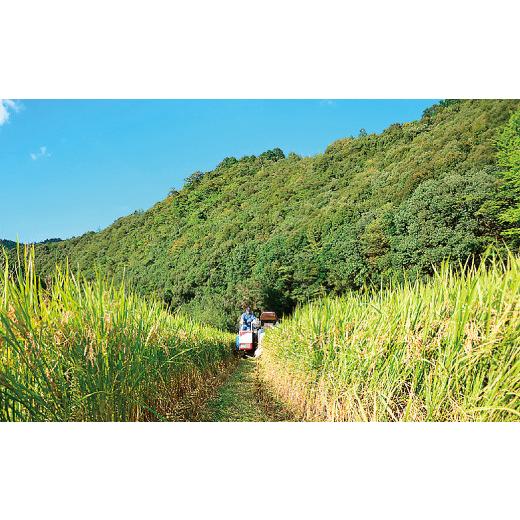 ふるさと納税 高知県 四万十市 23-896.【令和5年産新米・早期受付・3回定期便】四万十市の中山間地域の里山で育まれる貴重なお米「しまんとのお米（ヒノヒカリ…