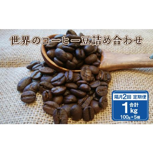 ふるさと納税 熊本県 高森町 [隔月2回定期便]世界のコーヒー豆詰め合わせ 500g (100g×5種) コーヒー 珈琲 豆 セット
