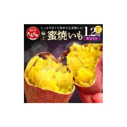 ふるさと納税 野菜類 サツマイモ 熊本県 多良木町 11月〜順次発送 紅はるか 蜜焼いも 合計1.2kg (120gの個包装 ×10パック) 真空袋 真空パック 焼芋 焼き芋 …