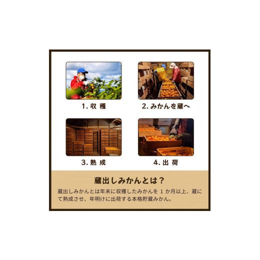 ふるさと納税 果汁飲料 みかん 和歌山県 海南市  定期便全3回 蔵出しみかんジュース｜和歌山県海南市下津町産の高級100%ストレートジュース_4