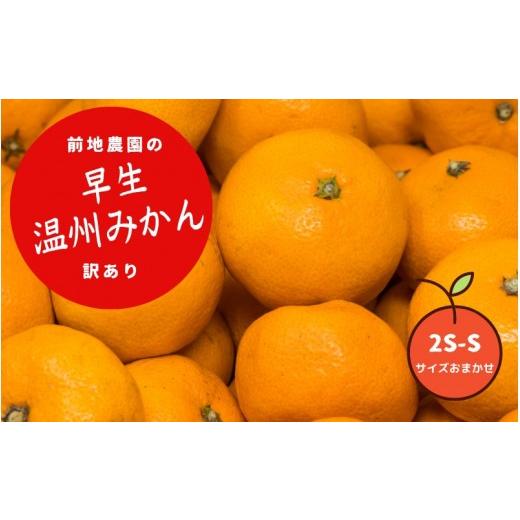 ふるさと納税 果物類 みかん 三重県 紀宝町 2S-S サイズおまかせ 前地農園の早生温州みかん ご家庭用 訳あり 7kg 2026年12月初旬から12月中旬までに順次発送予…